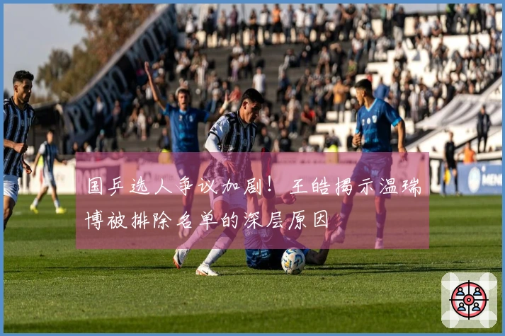 国乒选人争议加剧！王皓揭示温瑞博被排除名单的深层原因